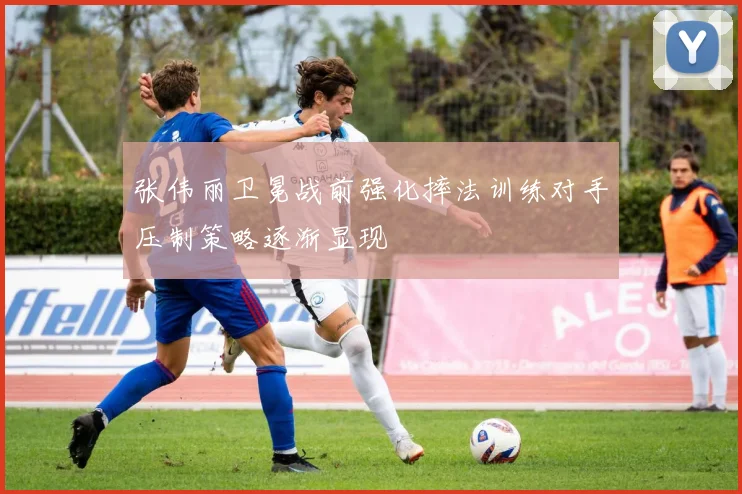 张伟丽卫冕战前强化摔法训练对手压制策略逐渐显现